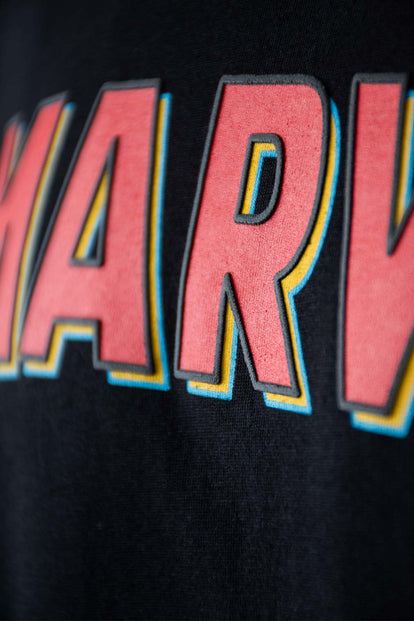  CAMISETA DE MARVEL REGULAR FIT PARA HOMBRE