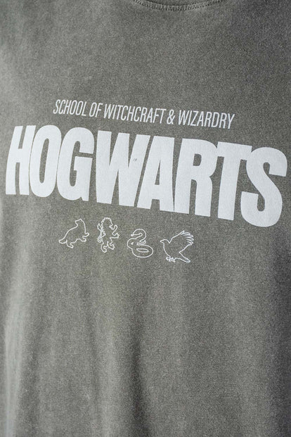  CAMISETA DE HARRY POTTER GRIS REGULAR FIT PARA HOMBRE